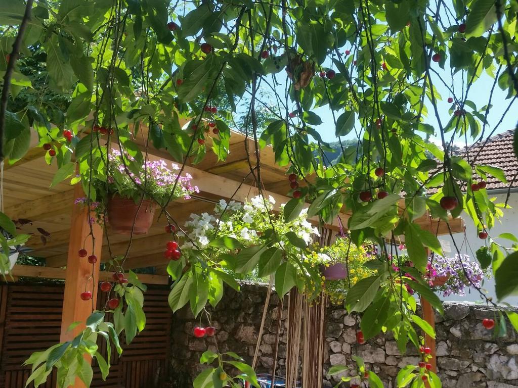 Bto Holiday Home Сараєво Екстер'єр фото